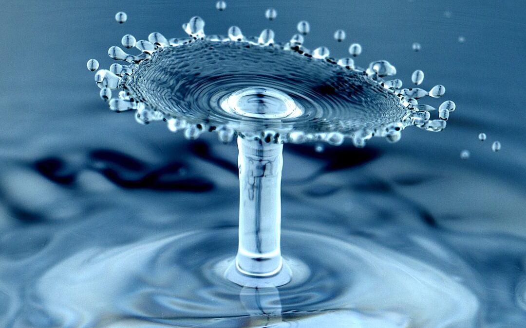 Waarom waterkwaliteit belangrijk is