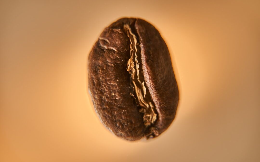 Wat bepaalt de kwaliteit van koffiebonen